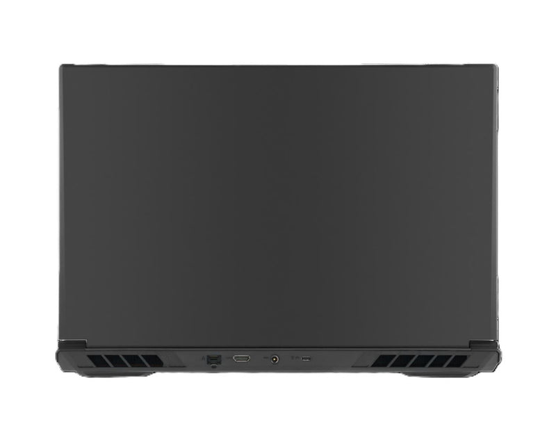 SurfThing Golf Simulator Laptop Computer